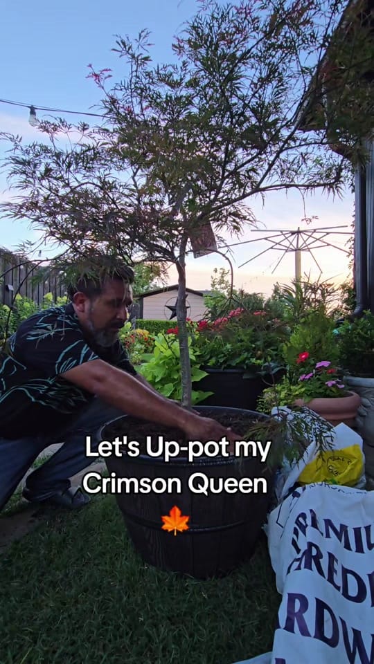 Post 6 by Beto Gutierrez on TikTok (video)