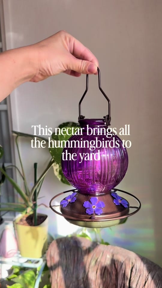 Post 9 by plantedbysally on TikTok (video)
