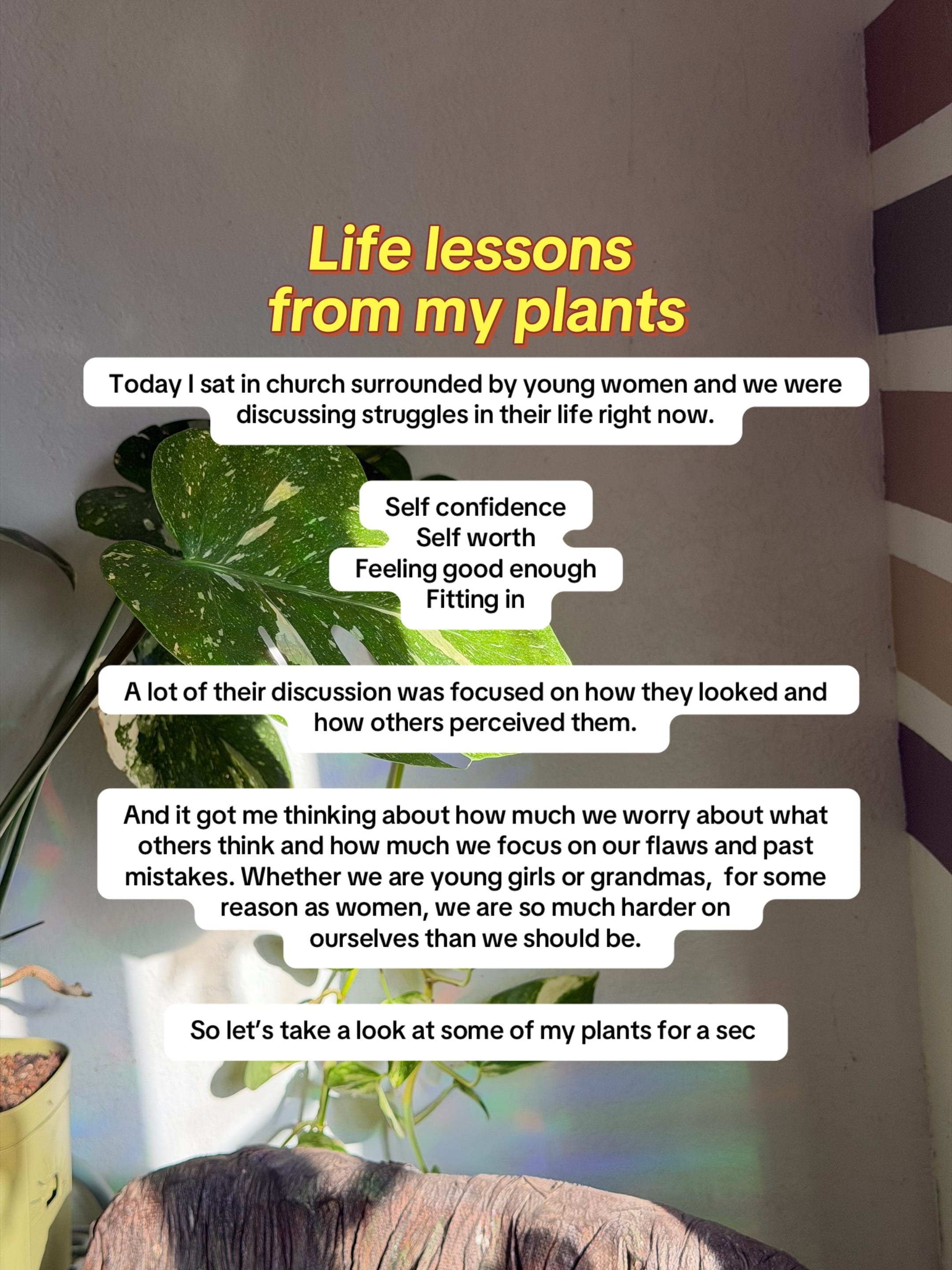 Post 7 by plantedbysally on TikTok (video)