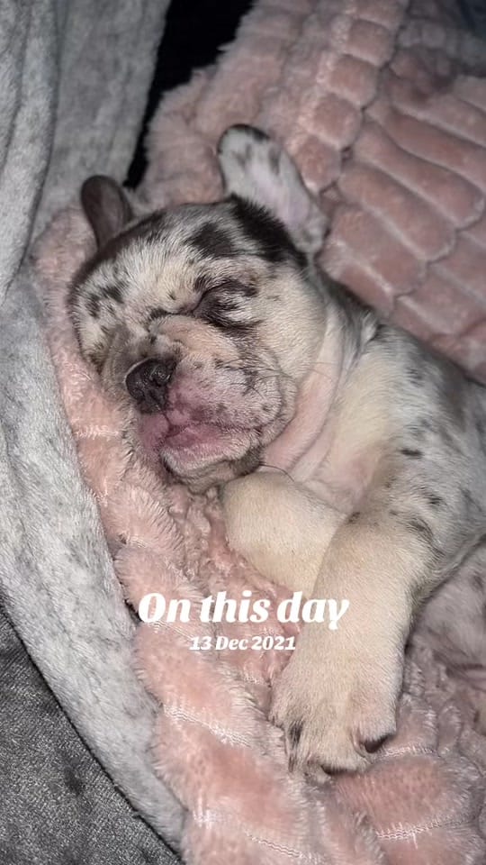 Post 8 by Alana Turner on TikTok (video)