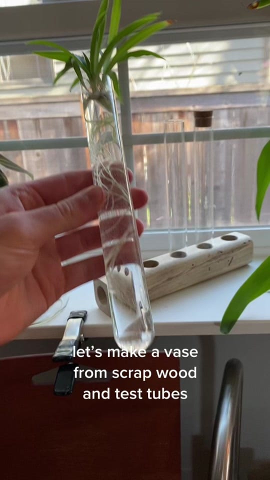 Post 10 by adam on TikTok (video)