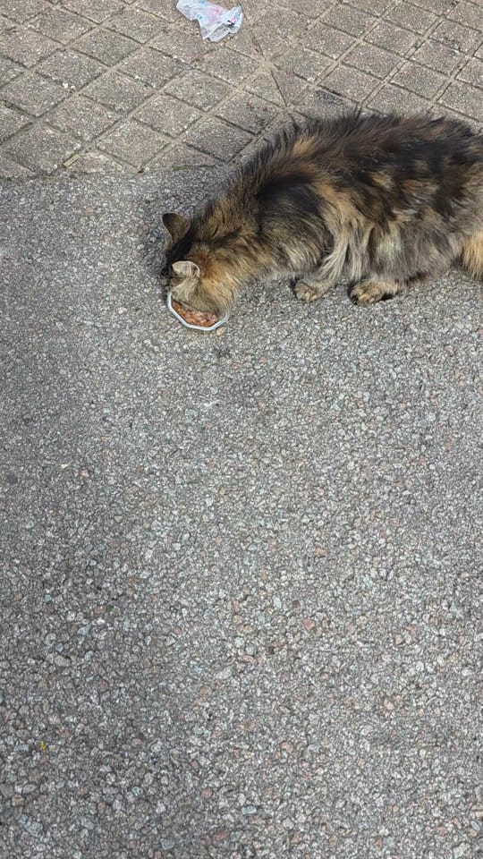 Post 2 by Sanj Parma on TikTok (video)
