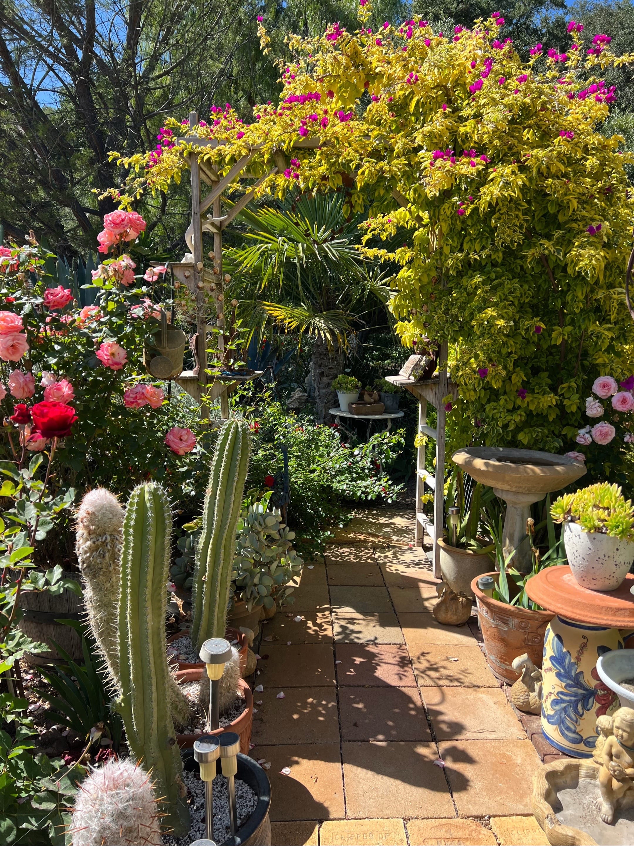 Post 2 by mtplanters on TikTok (video)