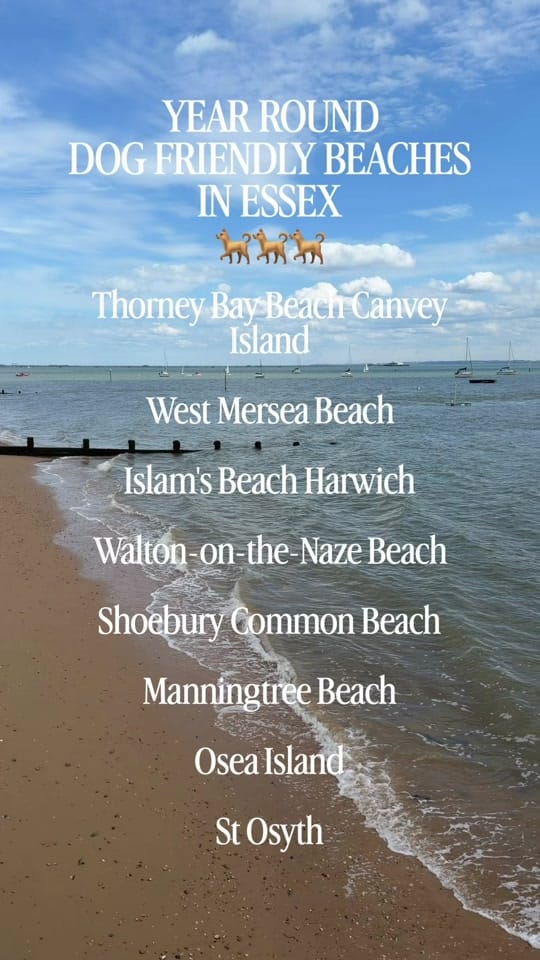Post 9 by Travel From Essex Food & Wine on TikTok (video)