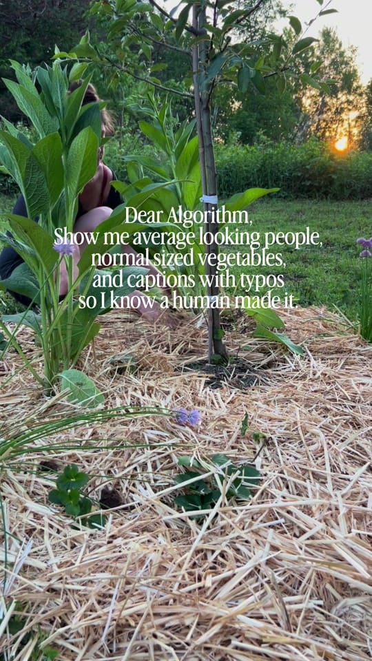 Post 1 by Cultivating Roots on TikTok (video)