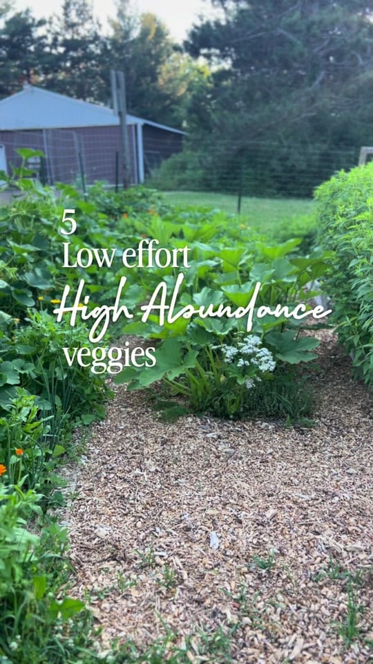 Post 7 by Cultivating Roots on TikTok (video)