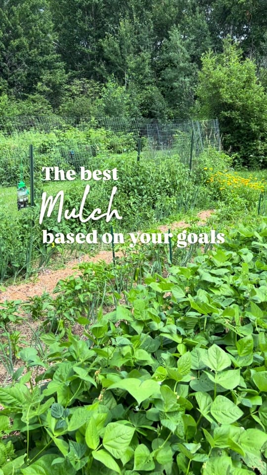 Post 6 by Cultivating Roots on TikTok (video)