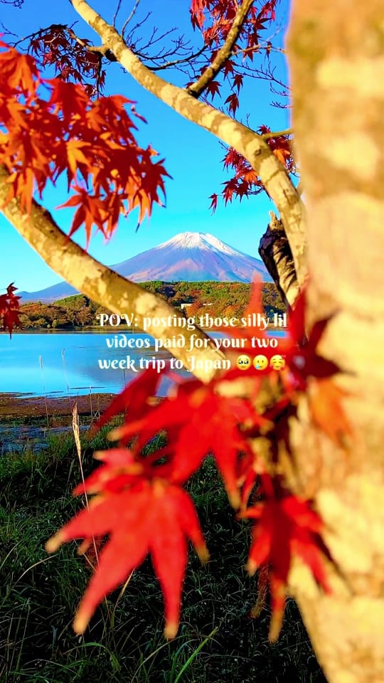 Post 7 by MileHighDIY on TikTok (video)