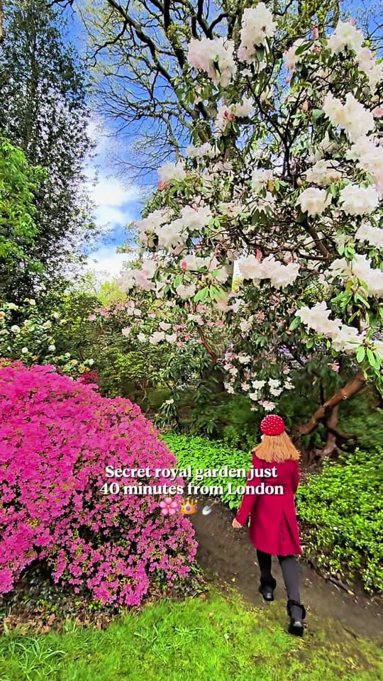 Post 3 by LuxuryColumnist 🌟 Suze on TikTok (video)
