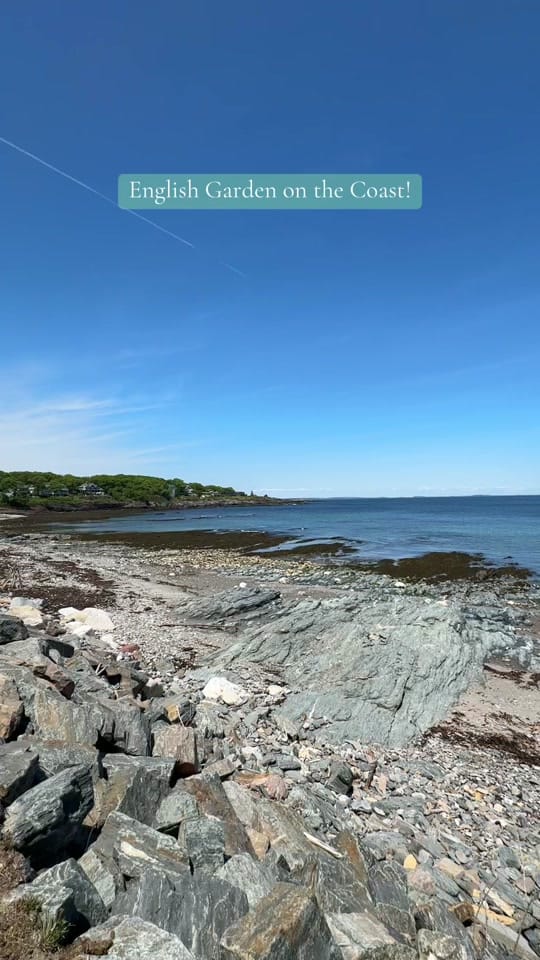 Post 7 by Nicolas Home on TikTok (video)