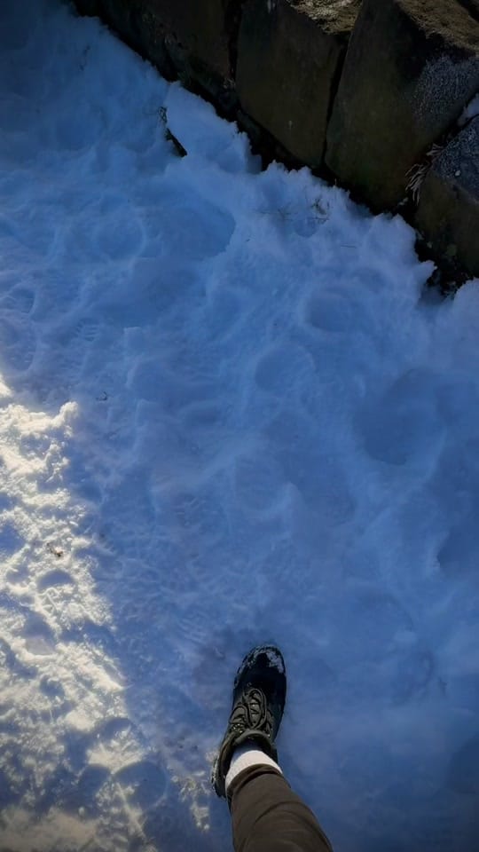 Post 5 by Explore Yorkshire on TikTok (video)