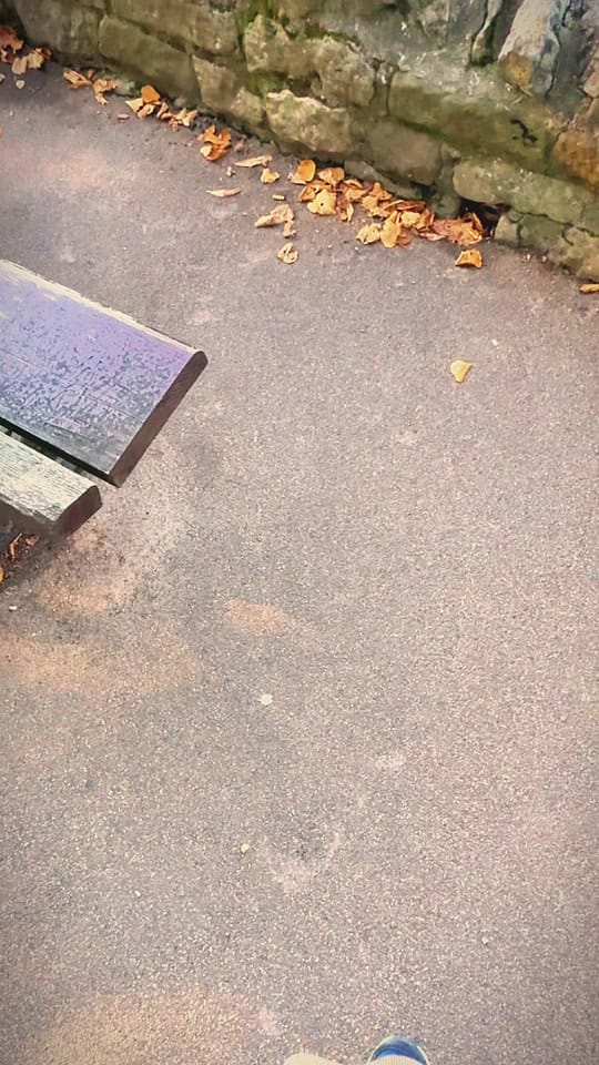 Post 7 by Explore Yorkshire on TikTok (video)