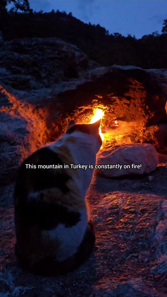 Post 1 by Tom wheaton on TikTok (video)