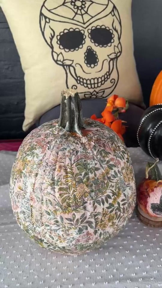 Post 3 by Eastern Accents Outlet on TikTok (video)