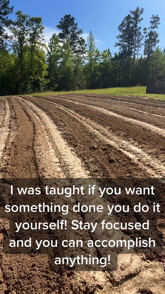 Post 4 by Brittney Porter on TikTok (video)