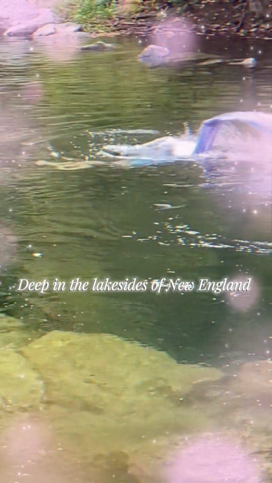 Post 7 by Mermaid Eclipse on TikTok (video)