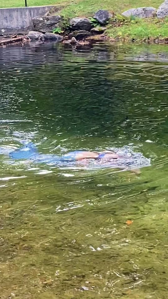 Post 10 by Mermaid Eclipse on TikTok (video)