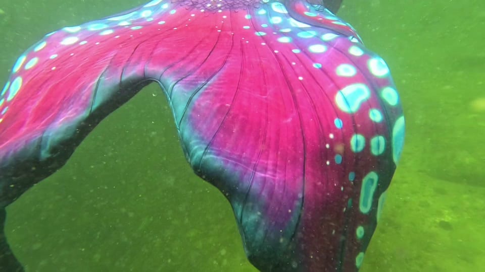 Post 2 by Mermaid Eclipse on TikTok (video)