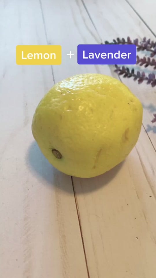 Post 10 by Shellie + David on TikTok (video)