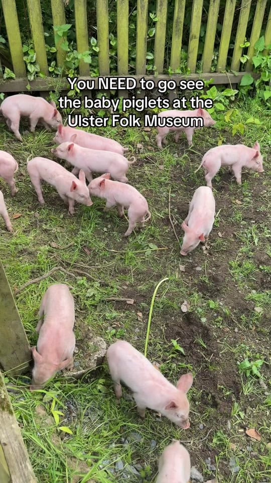 Post 7 by Visit Belfast | Travel & inspo on TikTok (video)