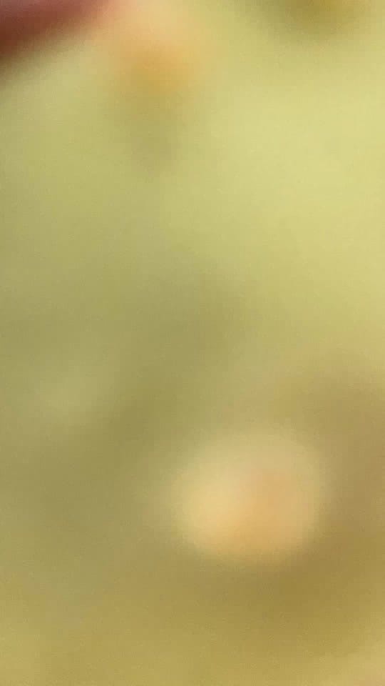 Post 7 by Sophie on TikTok (video)