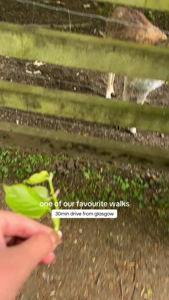 Post 6 by yazzy explores on TikTok (video)