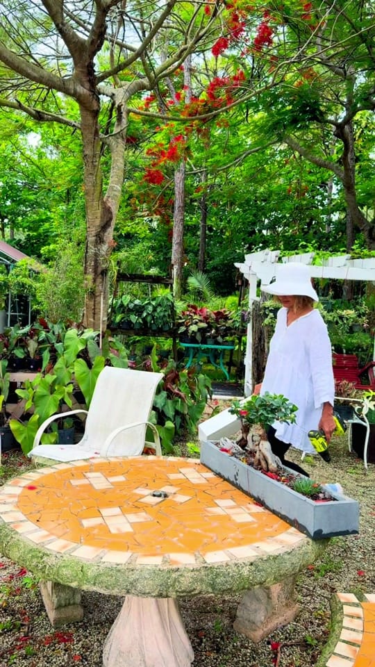 Post 5 by maytees_garden_center on TikTok (video)