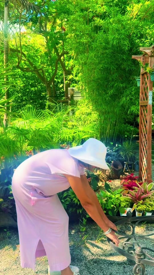 Post 2 by maytees_garden_center on TikTok (video)