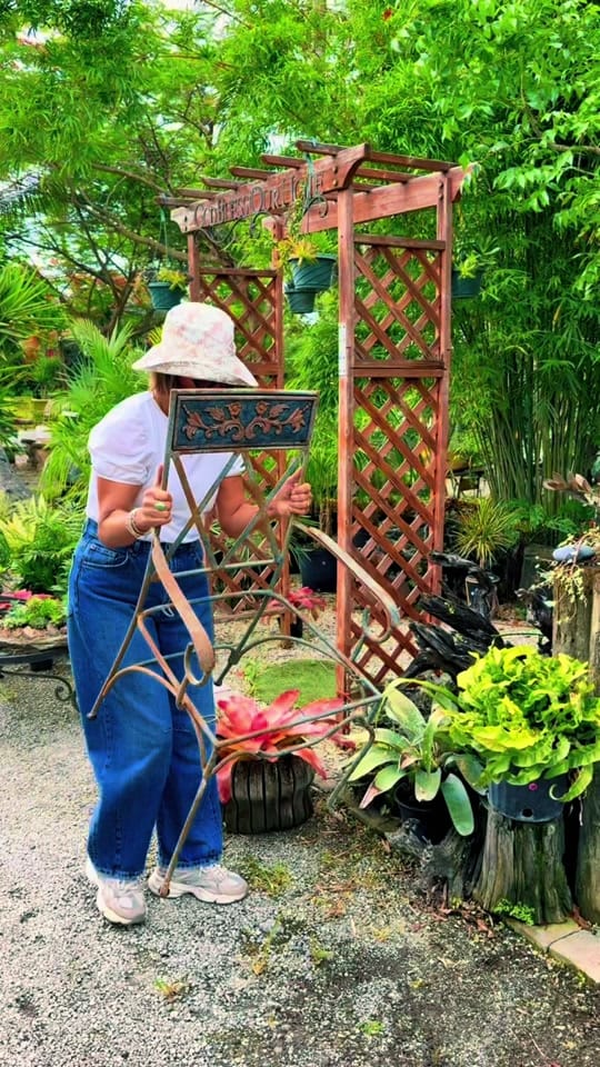 Post 3 by maytees_garden_center on TikTok (video)