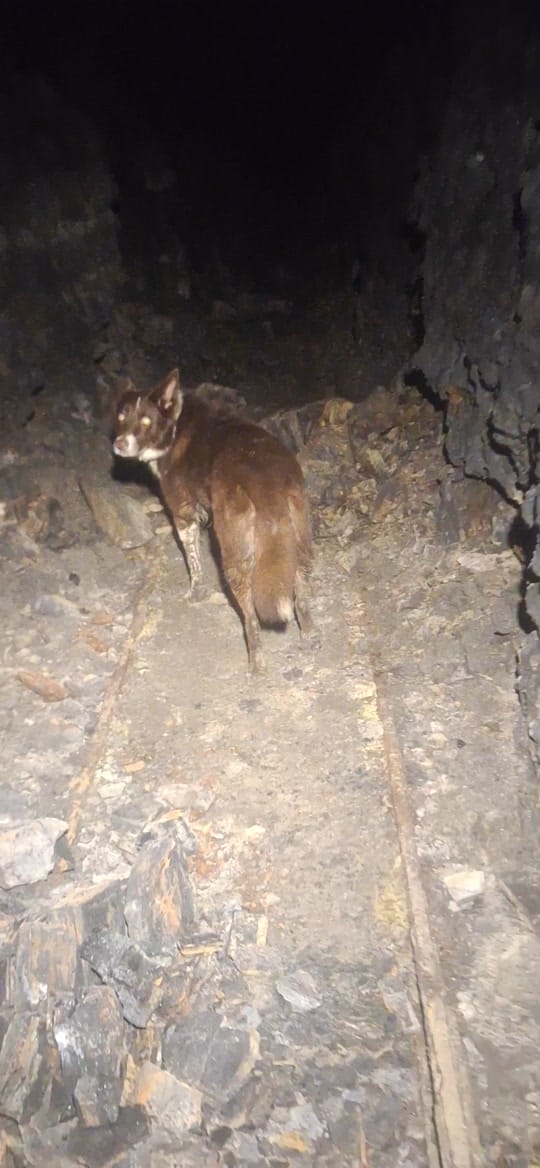 Post 2 by Yorkshire Mine Explorer on TikTok (video)