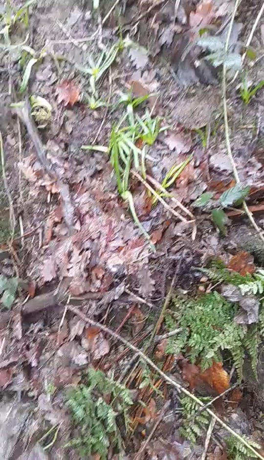 Post 5 by Yorkshire Mine Explorer on TikTok (video)