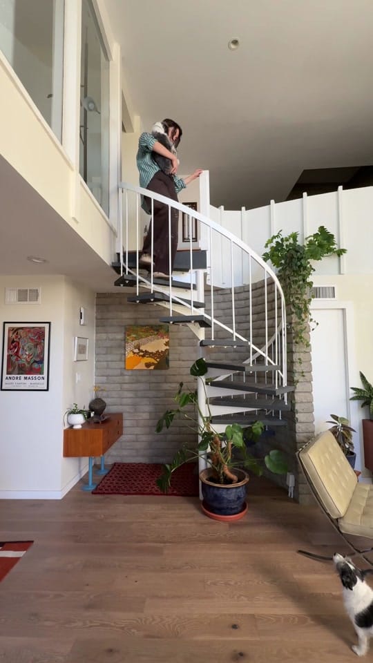 Post 8 by Colleen Hardy on TikTok (video)