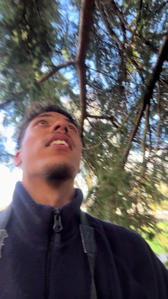 Post 1 by Akash 🌿 on TikTok (video)