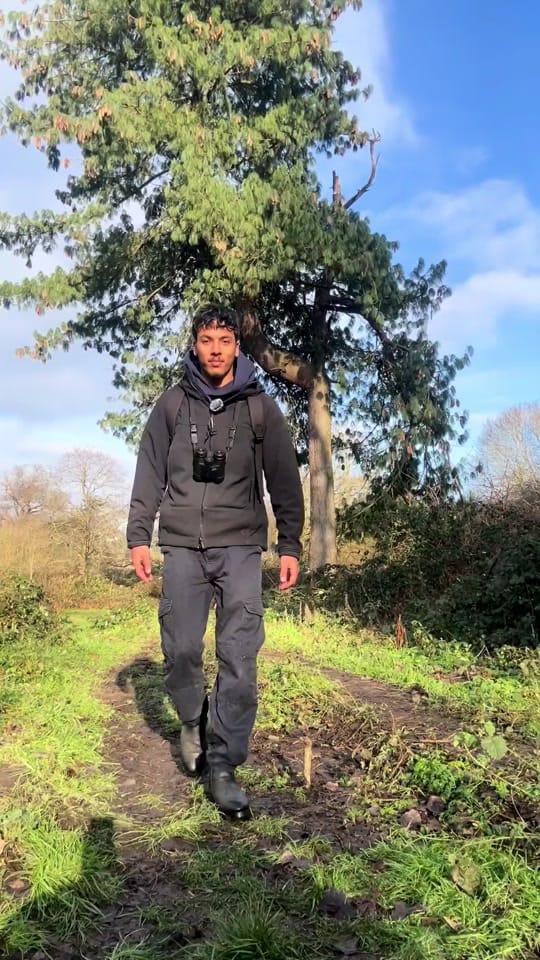 Post 8 by Akash 🌿 on TikTok (video)