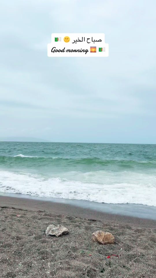 Post 9 by 🇬🇧 FlavourofhomeDZ🇩🇿 on TikTok (video)