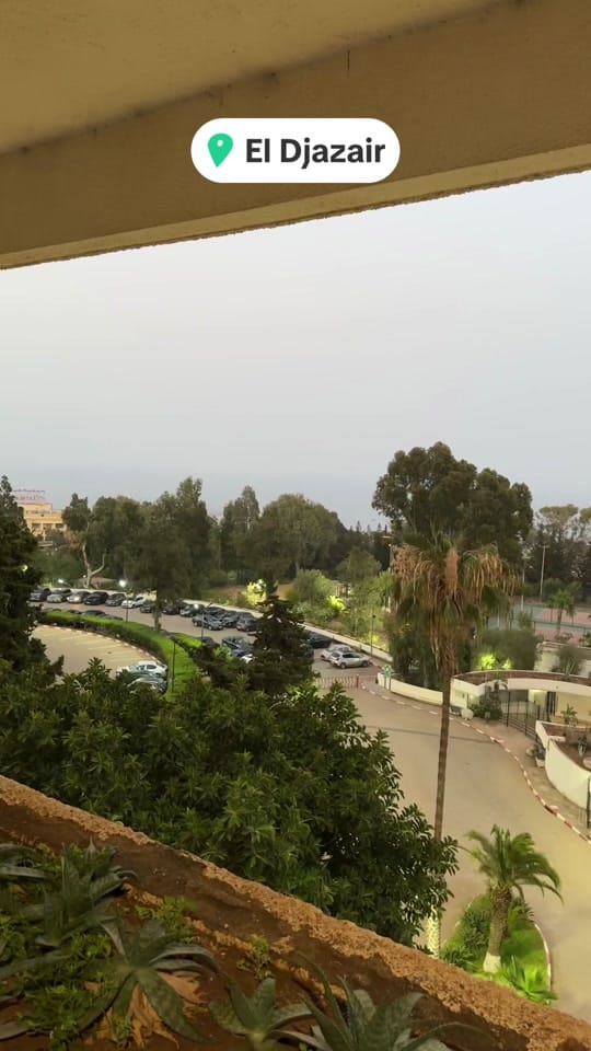 Post 8 by 🇬🇧 FlavourofhomeDZ🇩🇿 on TikTok (video)