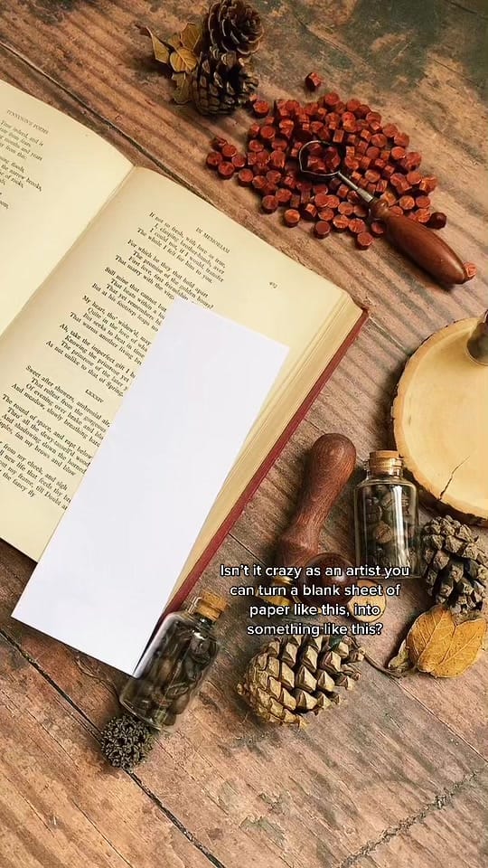 Post 10 by Sonnet & Fable 🏹📖⚔️🎨 on TikTok (video)