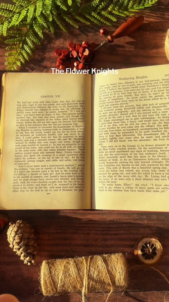 Post 1 by Sonnet & Fable 🏹📖⚔️🎨 on TikTok (video)