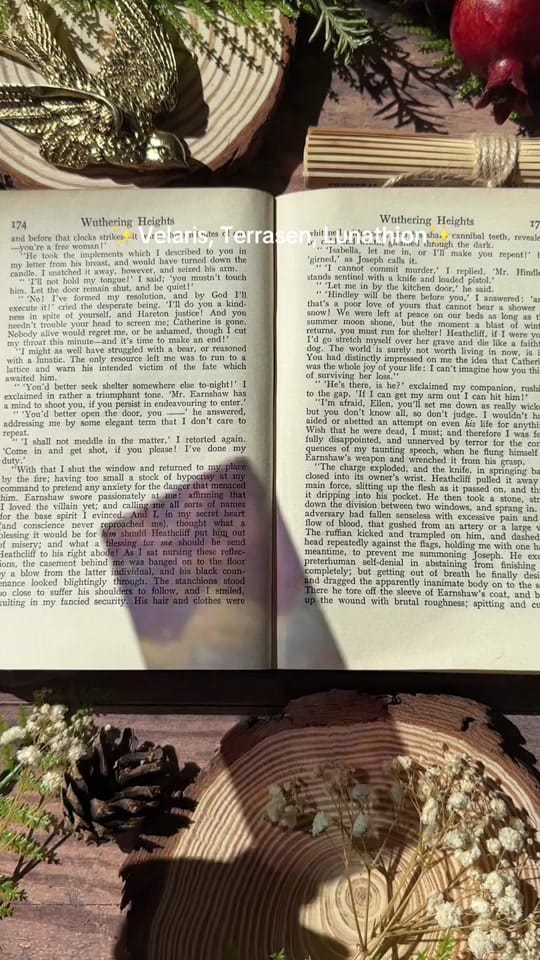 Post 5 by Sonnet & Fable 🏹📖⚔️🎨 on TikTok (video)