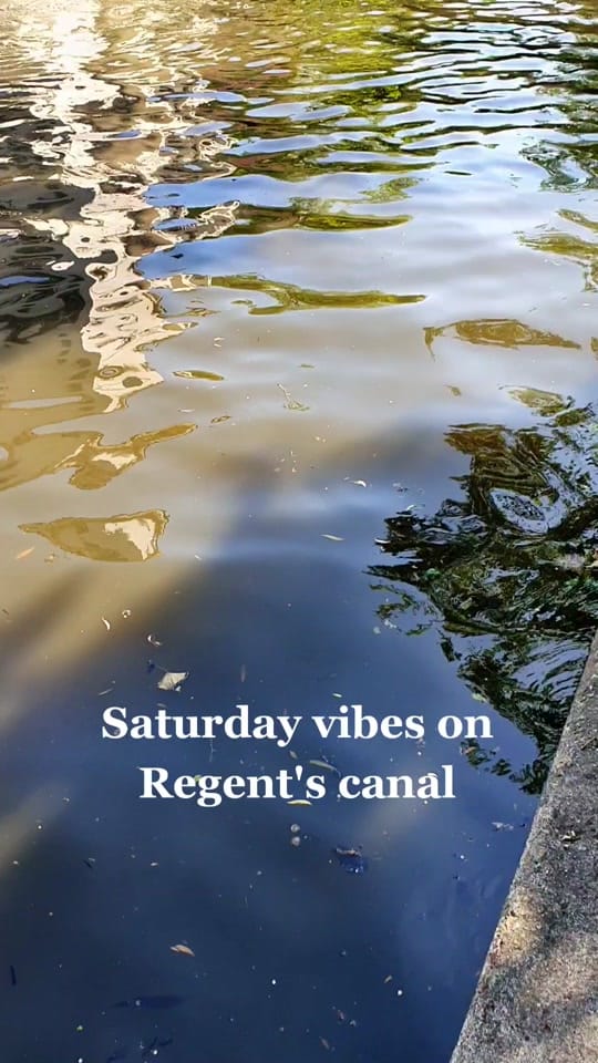 Post 4 by In Search of Ambience on TikTok (video)