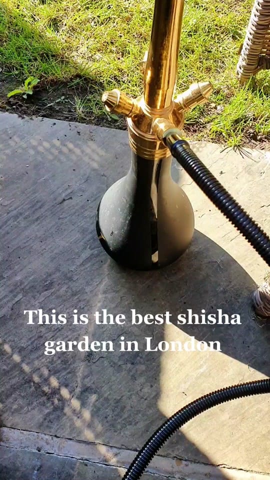Post 5 by In Search of Ambience on TikTok (video)