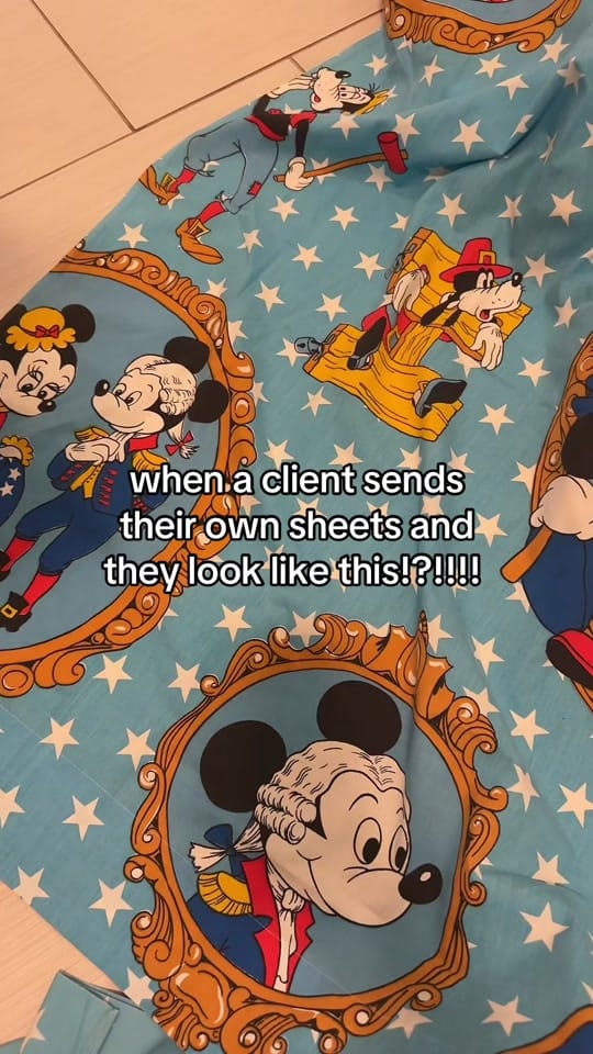 Post 8 by Jaime🪡🐭 on TikTok (video)
