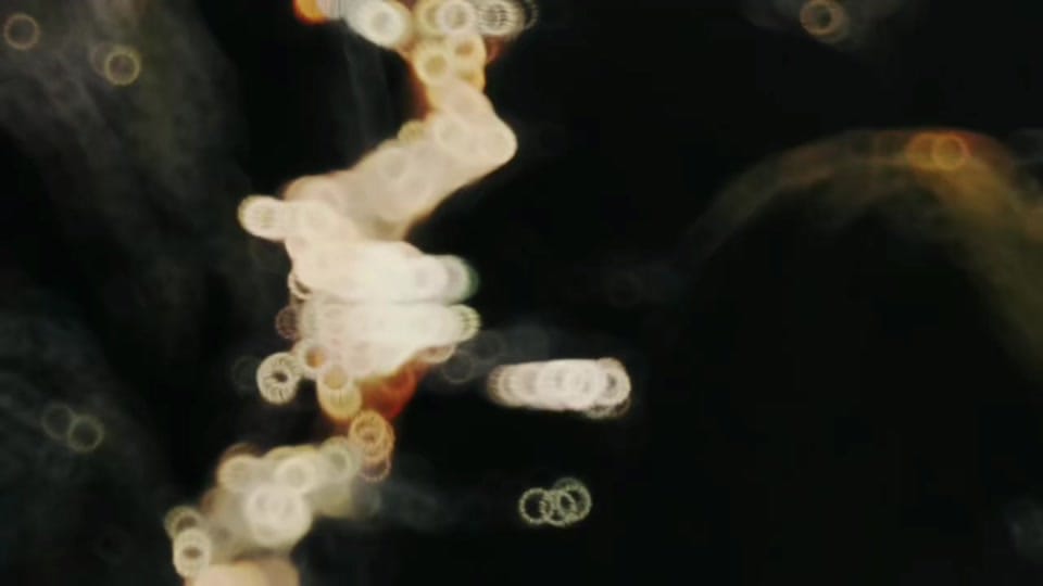 Post 1 by Dani 🦋🖤 𓍊𓋼𓍊𓋼𓍊 on TikTok (video)