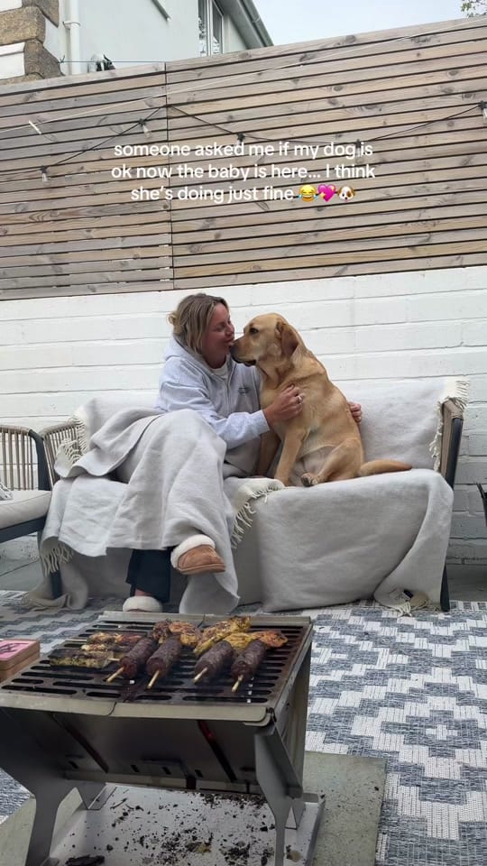 Post 4 by Amy on TikTok (video)