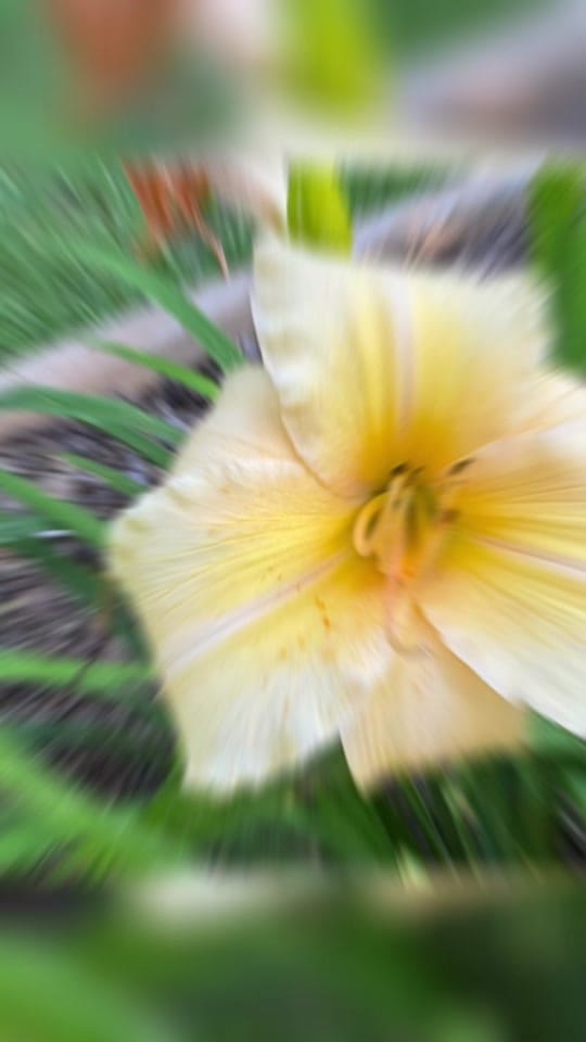 Post 5 by 🇺🇸Eddie M. L. Smith✌🏼 on TikTok (video)