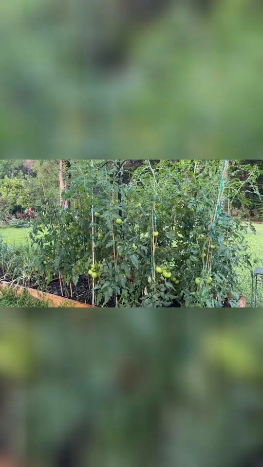 Post 7 by 🇺🇸Eddie M. L. Smith✌🏼 on TikTok (video)