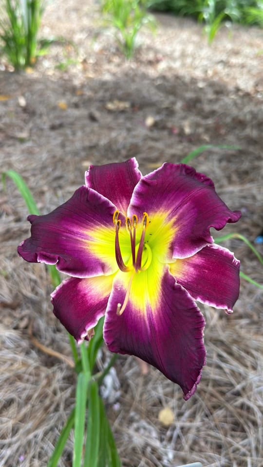 Post 4 by 🇺🇸Eddie M. L. Smith✌🏼 on TikTok (video)