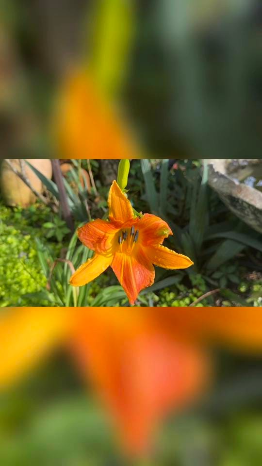 Post 8 by 🇺🇸Eddie M. L. Smith✌🏼 on TikTok (video)