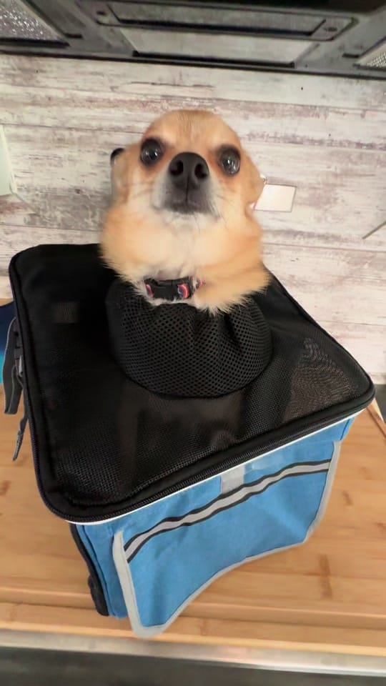 Post 9 by Amanda on TikTok (video)