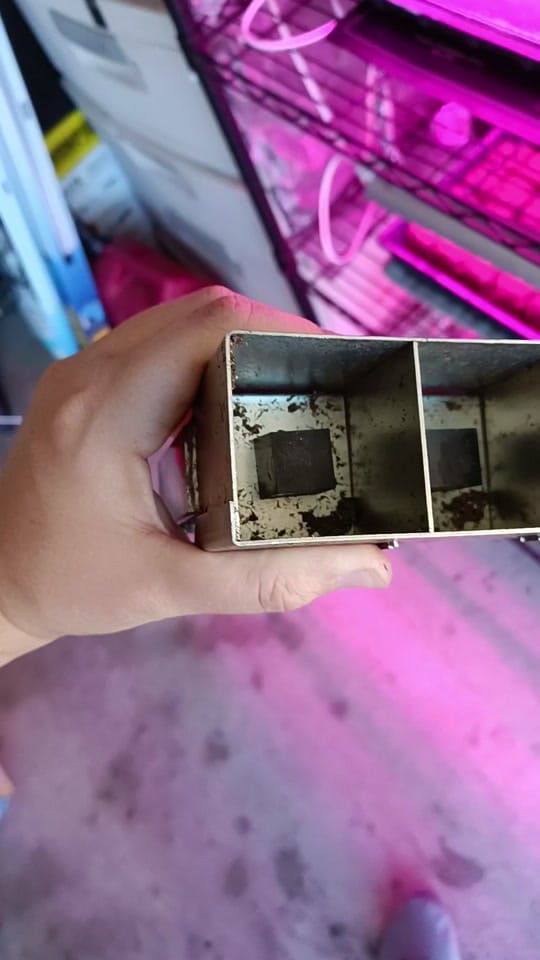 Post 4 by evelyns secret reviews on TikTok (video)